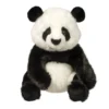 Paya Panda