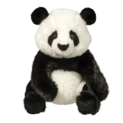 Paya Panda