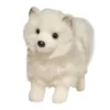 Phoebe Pomsky