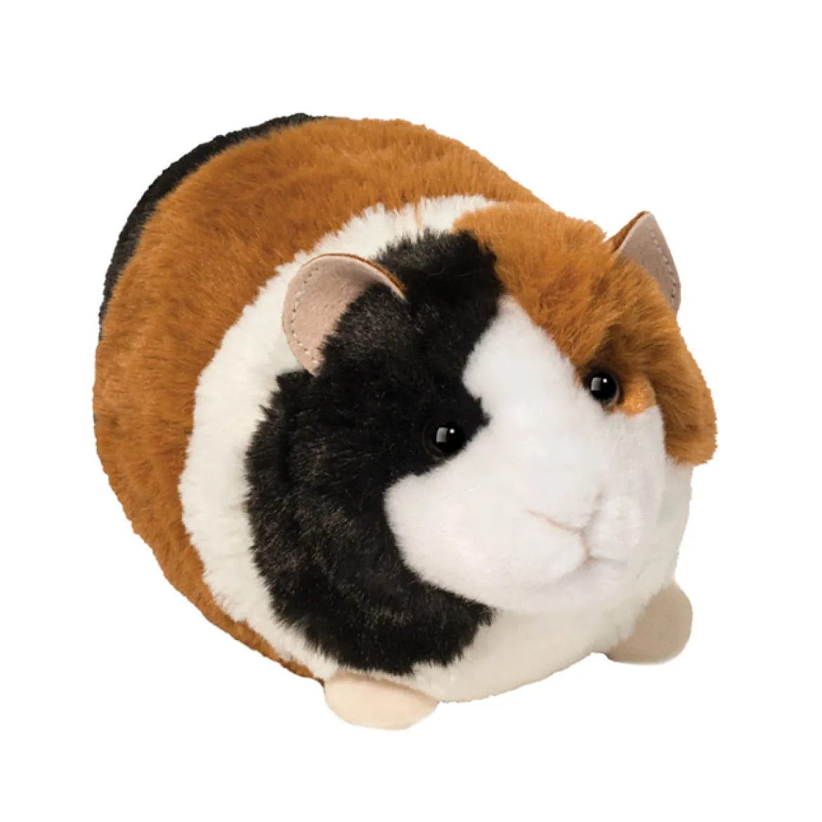 Pippin Guinea Pig