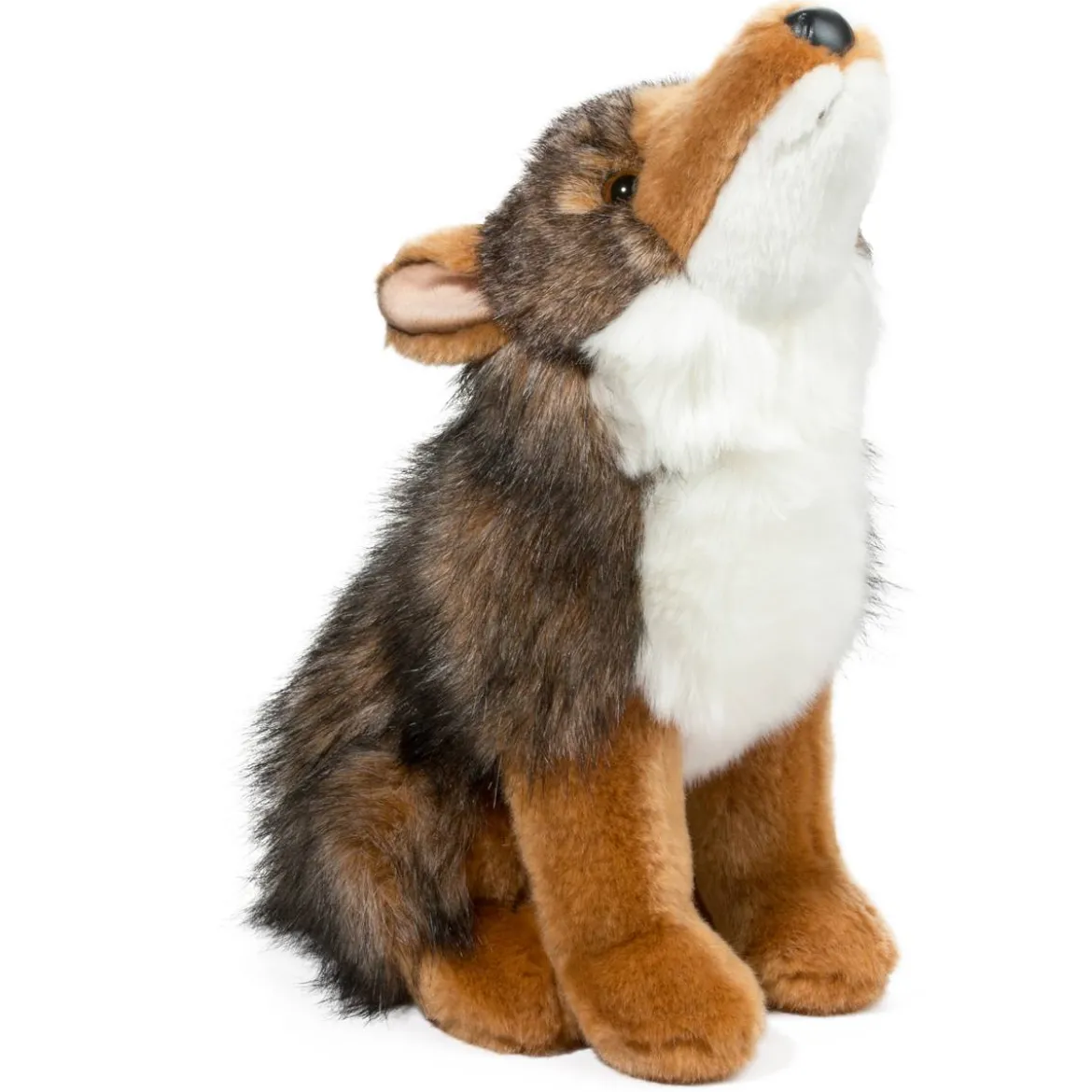 Rambler Coyote