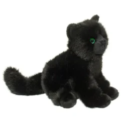 Salem Black Cat