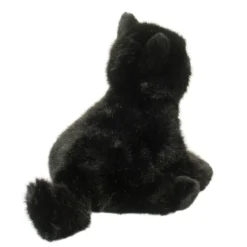 Salem Black Cat