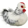 Salty Black & White Hen