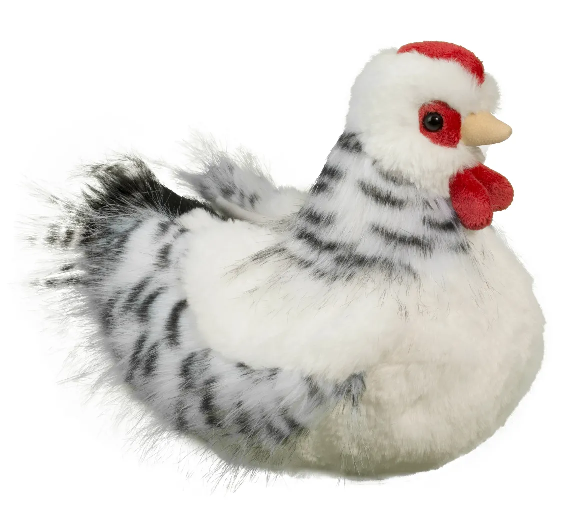 Salty Black & White Hen