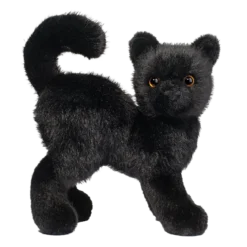 Scaredy Black Cat
