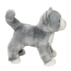 Scatter Gray Cat