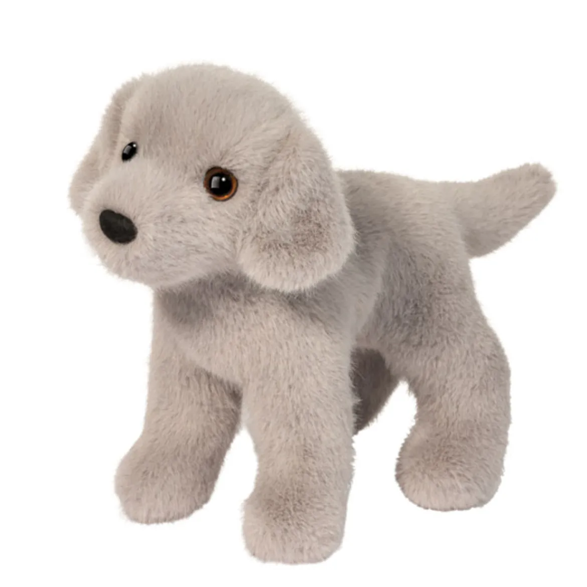 Slate Silver Lab