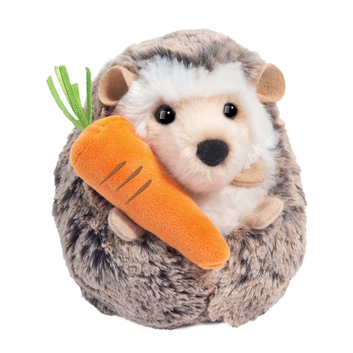 Spunky Hedgehog with Carrot