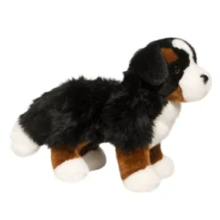 Stevie Bernese Mountain Dog