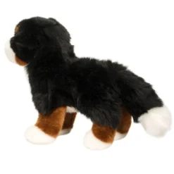 Stevie Bernese Mountain Dog