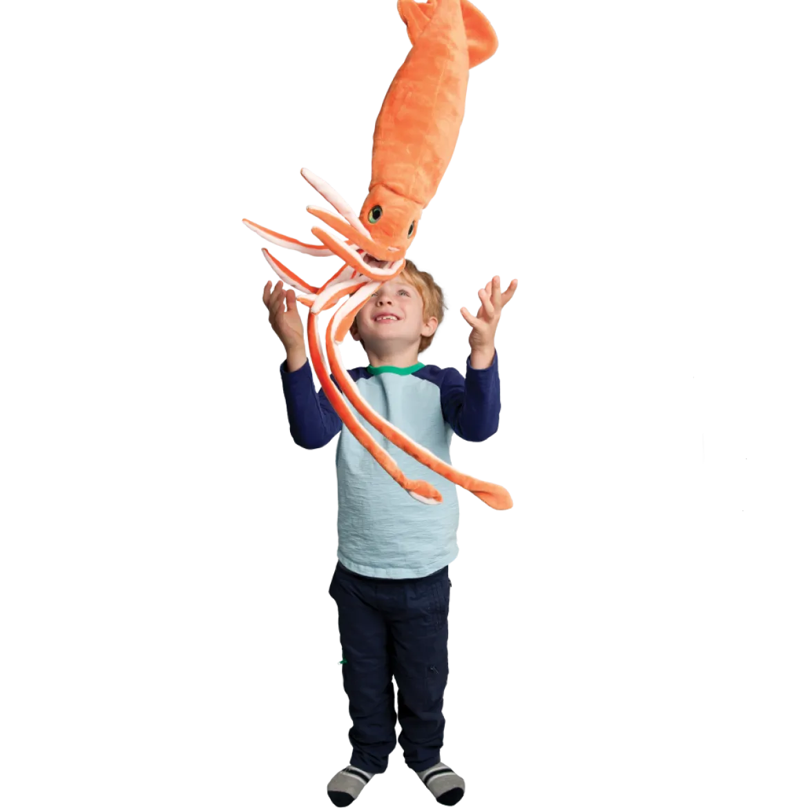 Stretch Squid