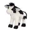 Sweet Cream Baby Cow