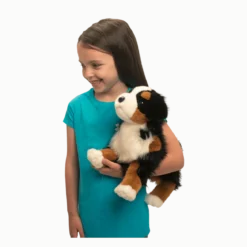 Trevor Bernese Mountain Dog
