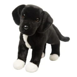 Twister Black Lab/Pit Bull Mix