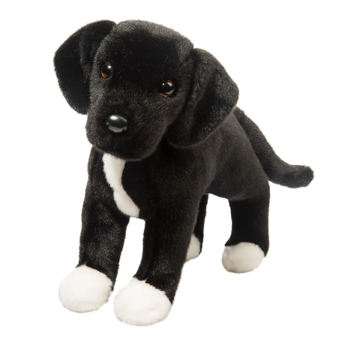 Twister Black Lab/Pit Bull Mix