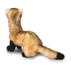 Vince Black Footed Ferret