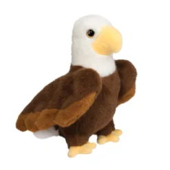 Windy Eagle