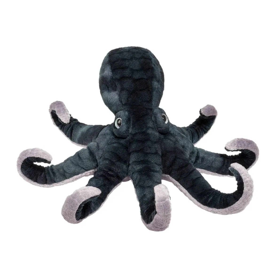 Winky Octopus