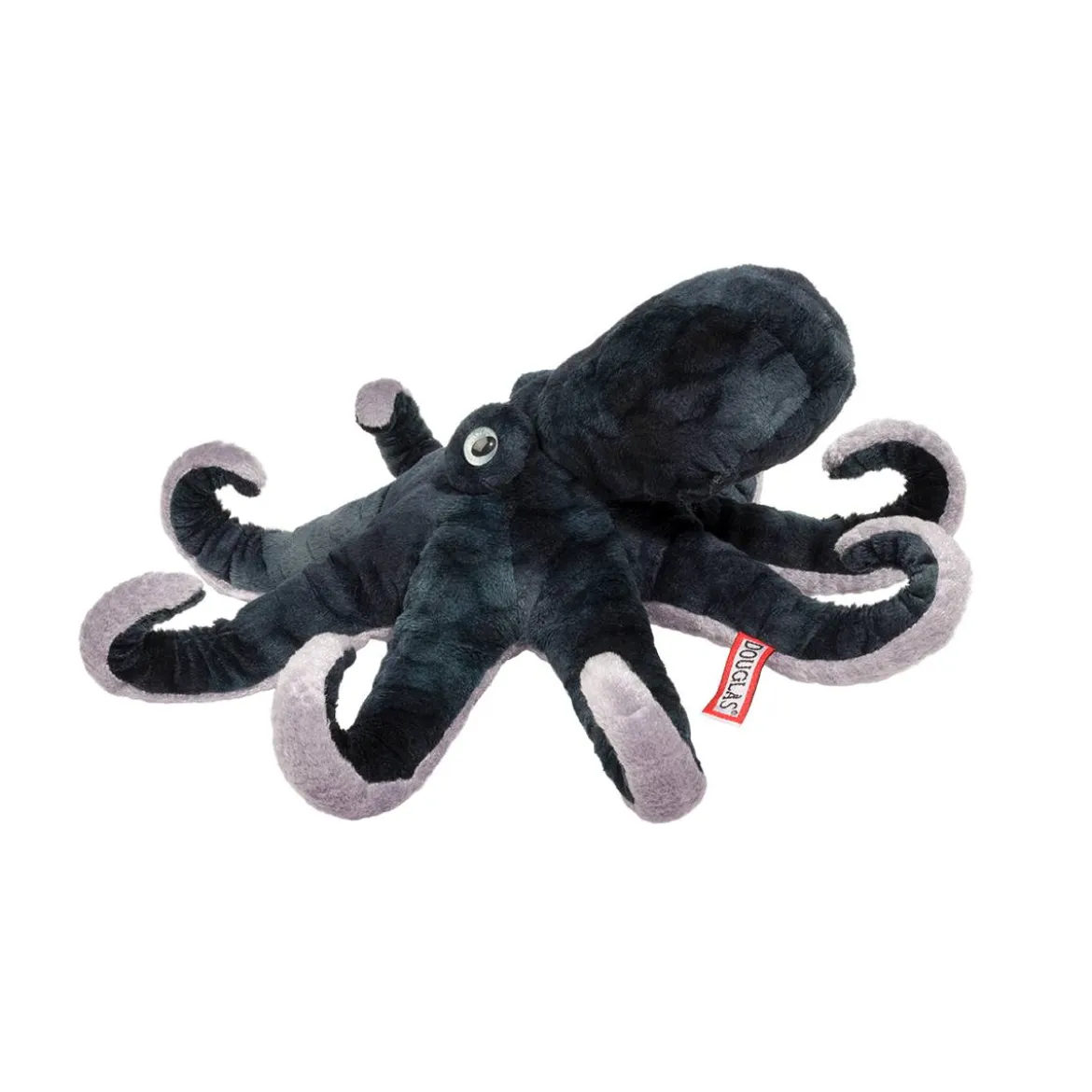Winky Octopus