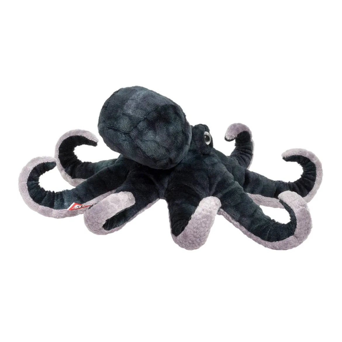 Winky Octopus