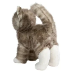 Zipper Gray Tabby Cat