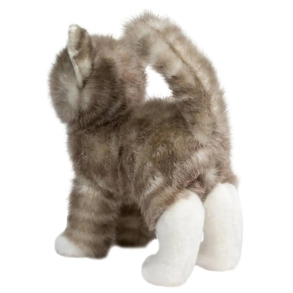 Zipper Gray Tabby Cat